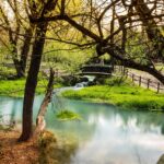 Sorgenti termali di Saturnia con acque calde e paesaggio naturale circostante.