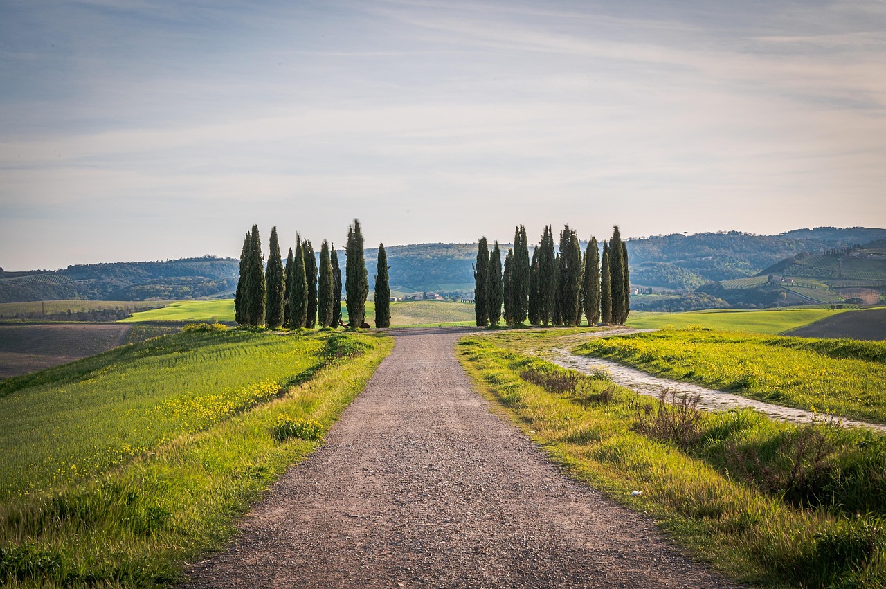 Vigneti e cipressi iconici della Val d’Orcia, paesaggio toscano mozzafiato.