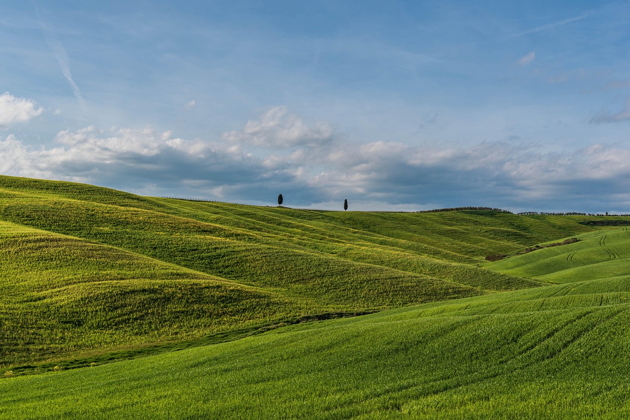 Panorama della Val d'Orcia con colline verdi e cipressi, simbolo del paesaggio toscano.