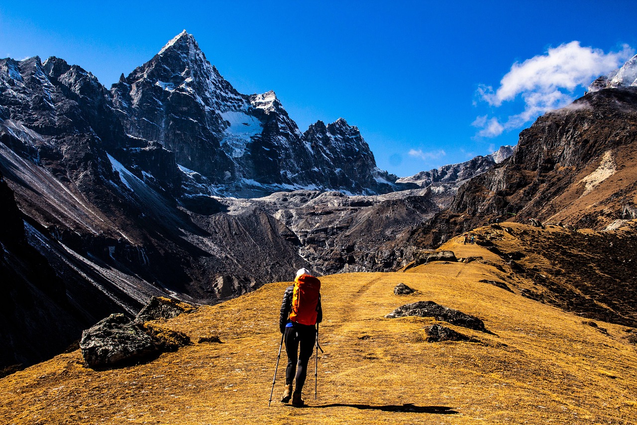 Escursionisti in un paesaggio montano fiorito, pronti per un trekking primaverile.
