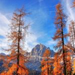 Sentiero panoramico autunnale in Trentino, circondato da alberi colorati e montagne maestose.