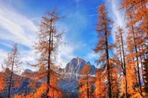Sentiero panoramico autunnale in Trentino, circondato da alberi colorati e montagne maestose.