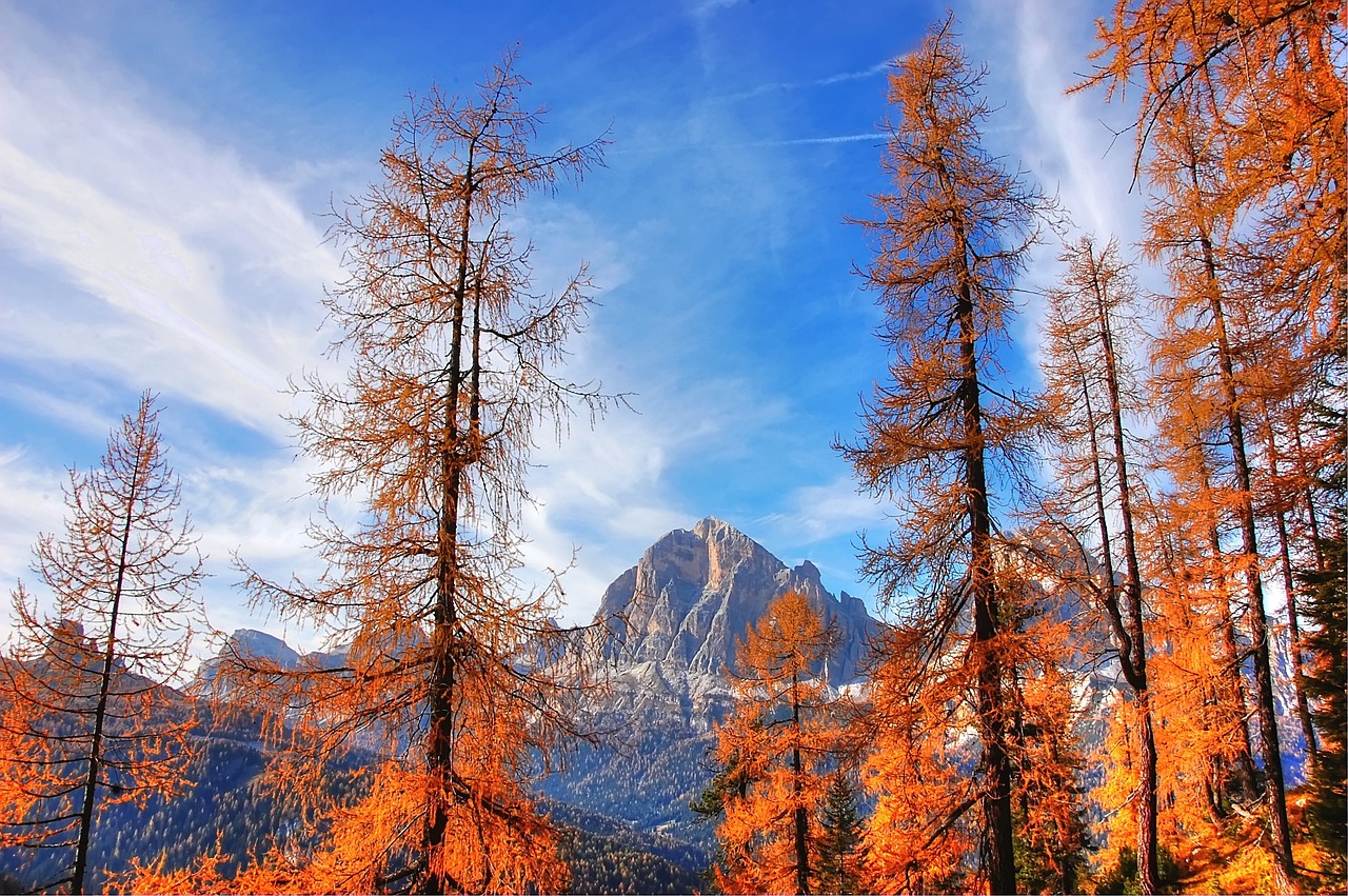 Sentiero panoramico autunnale in Trentino, circondato da alberi colorati e montagne maestose.