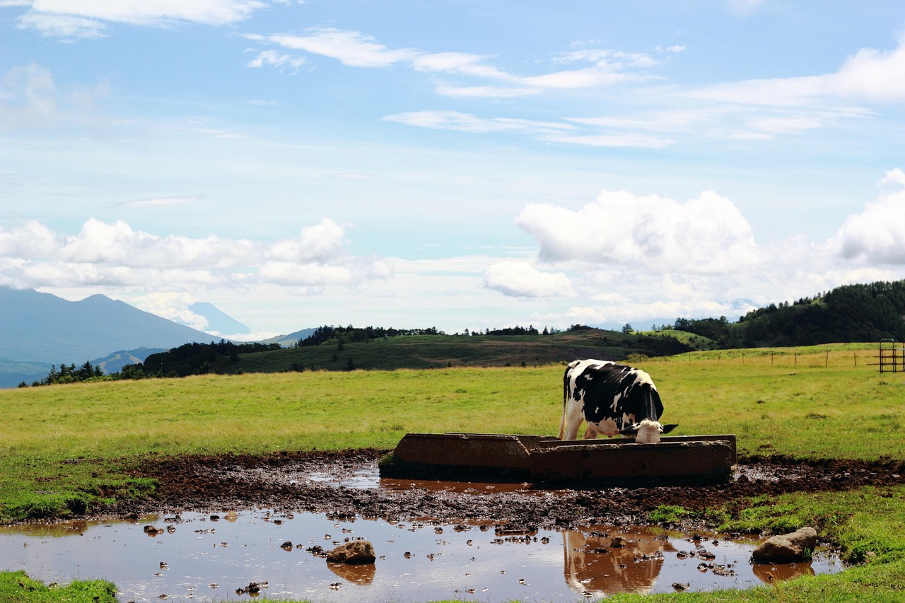 Panorama suggestivo delle Azzorre con colline verdi e oceano blu.