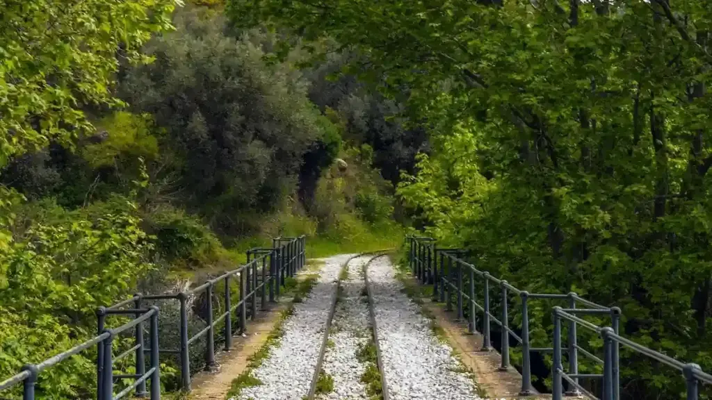 Weekend senza auto nel Cilento: come costruire un itinerario partendo da una stazione ferroviaria